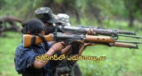 CM Chandrababu react: ముంబై నటి వ్యవహారం.. సీఎం చంద్రబాబు రియాక్ట్, అదొక  వై‘కామ’ పార్టీ అంటూ..