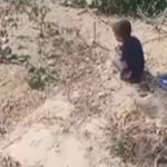 Viral Video: పాపం పసివాడు.. తల్లి  సమాధి వద్ద బోరున విలపిస్తున్న వీడియో వైరల్