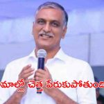 BRS MLA Harishrao: ఎలుకలు దాడి చేస్తున్నాయి: హరీశ్ రావు