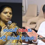 CM Revanth on Kavitha bail: కవిత బెయిల్ వెనుక.. రేవంత్ రెడ్డి కీలక వ్యాఖ్యలు