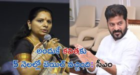 CM Revanth on Kavitha bail: కవిత బెయిల్ వెనుక.. రేవంత్ రెడ్డి కీలక వ్యాఖ్యలు
