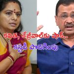 Delhi Liquor Case: కవిత, కేజ్రీవాల్‌కు షాక్.. కస్టడీ పొడగించిన కోర్టు