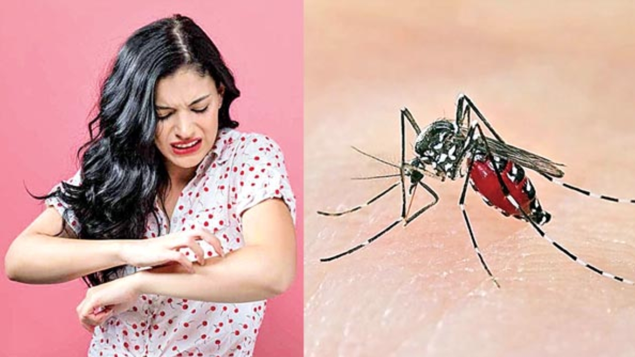 Rishab Shetty: ఈరోజు నా దేవుడిని కలిశాను.. కాంతార హీరో ఎమోషనల్ పోస్ట్ వైరల్