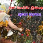 Nag Panchami 2024: నాగపంచమి ఎప్పుడు ? ప్రాముఖ్యత, పూజా విధానం..