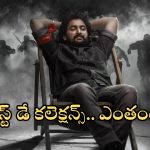 Saripodhaa Sanivaaram Collections: నాని ‘సరిపోదా శనివారం’ ఫస్ట్ డే కలెక్షన్స్.. ఎంత వచ్చాయంటే..?