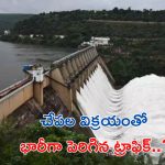 Srisailam Project: కనువిందు చేస్తున్న కృష్ణమ్మ.. శ్రీశైలంలో పర్యాటకుల సందడి