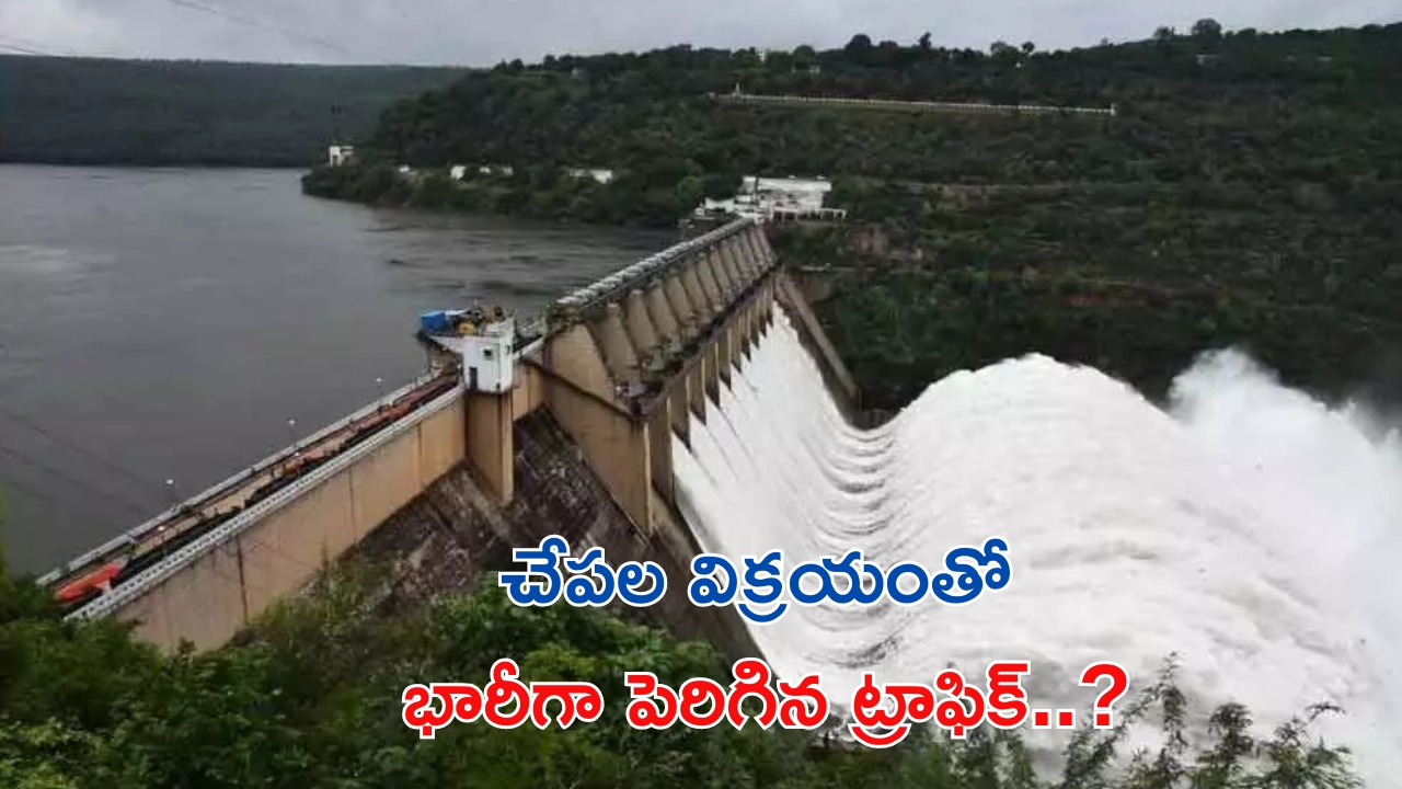 Priyadarshi: ప్రియదర్శికి జోడీగా నిహారిక.. ఈ సారి మరింత సాలిడ్ కంటెంట్‌తో రెడీ..?