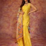 Amyra Dastur: ఎల్లోరా శిల్పంలా మెరిసిపోతున్న అమైరా దస్తూర్