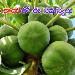 Raw Papaya Benefits: బొప్పాయితో బోలెడు ప్రయోజనాలు.. ఈ సమస్యలకు చెక్