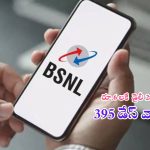 BSNL: బుర్రపాడు రా సామీ.. రూ.6లకే 2జీబీ డేటా.. ఏకంగా 395 రోజుల పాటు..!