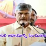 Adivasi Divas: ఆదివాసీల అభివృద్ధే మా ప్రధాన లక్ష్యం : సీఎం చంద్రబాబు