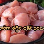 Chicken Rates: మాంసప్రియులకు అదిరిపోయే శుభవార్త.. చికెన్ ధరలు భారీగా తగ్గాయ్!