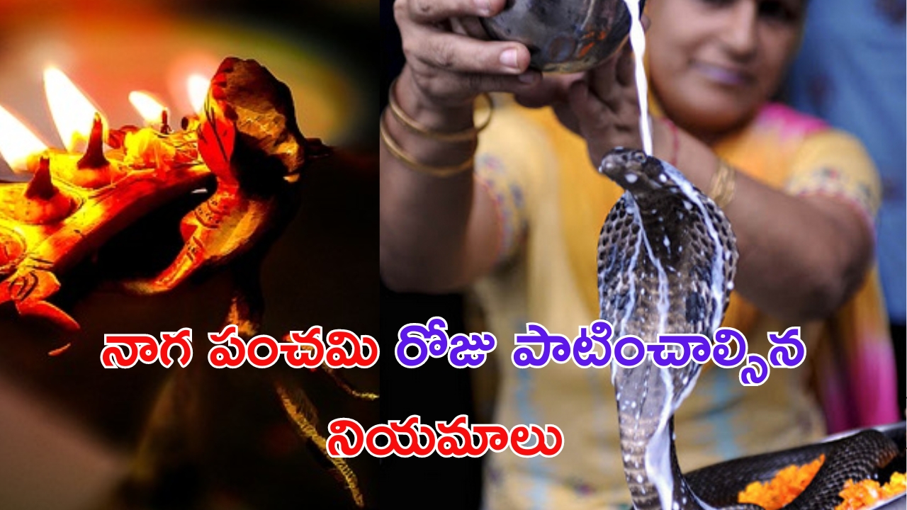 Tollywood News: హరీశ్‌ శంకర్‌తో మూవీ చేయనున్న మెగాస్టార్‌, ఆందోళనలో ఫ్యాన్స్..