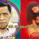 Nadiminti Narasinga Rao: సినీ పరిశ్రమలో విషాదం.. ప్రముఖ రచయిత కన్నుమూత