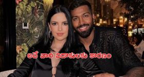 Hardik Pandya: పాండ్యా అహంకారం వల్లే విడాకులు