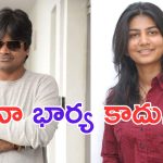 Harish Shankar: ఆ నటి నా భార్య కాదు.. క్లారిటీ ఇచ్చిన హరీష్ శంకర్