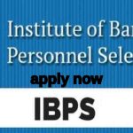 IBPS Recruitment 2024: IBPSలో 4455 ఉద్యోగాలు.. అప్లై చేసుకోవడానికి 5 రోజులే ఛాన్స్ !