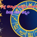 Malavya Rajyog 2024: 100 ఏళ్ల తర్వాత మాలవ్య, భద్రరాజ యోగాలు.. వీరికి అదృష్టం