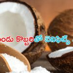 Dry Coconut Benefits: ఎండుకొబ్బరితో ఈ సమస్యలకు చెక్ పెట్టొచ్చు తెలుసా ?