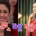 Mrunal Thakur: సీరియల్ హీరోయిన్ టూ స్టార్ హీరోయిన్..