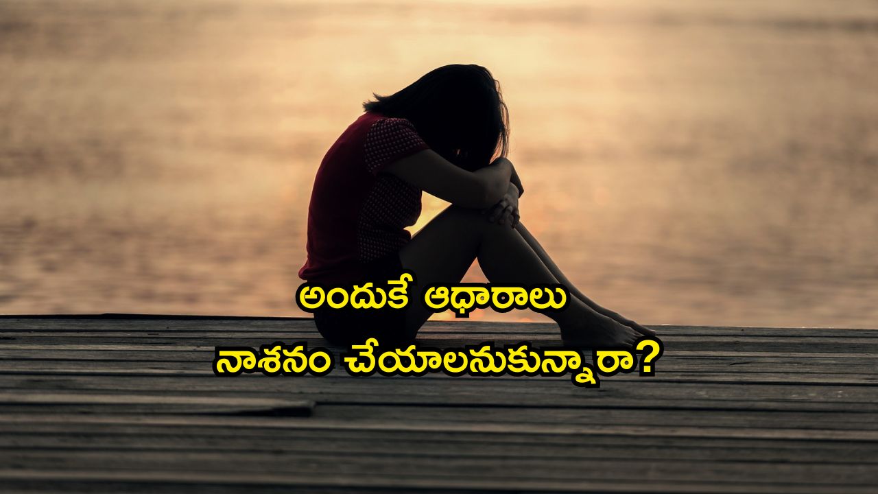 Nidhhi Agerwal Birthday Special: నిధి అగర్వాల్ బర్త్ డే స్పెషల్.. సొగసులతో సెగలు పుట్టింస్తుందిగా..