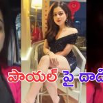 Payel Mukherjee: హీరోయిన్ పాయల్ పై దాడి.. నడిరోడ్డుపై కారును ఆపి..