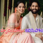 Sobhita Dhulipala: ఎంగేజ్ మెంట్ తరువాత మొదటి పోస్ట్ పెట్టిన శోభితా.. చై గురించి ఏం చెప్పిందంటే..?
