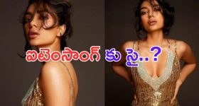Sobita Dhulipala: అక్కినేని కోడలు.. ఐటెంసాంగ్.. ?
