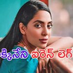 Sobitha Dhulipala: అక్కినేని కోడలు.. ఐరెన్ లెగ్.. ?