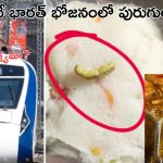 Insect In Vande Bharat Meals| వందే భారత్ ఎక్స్ ప్రెస్ ఆహారంలో పురుగు.. ఏడాదిలోనే మూడోసారి.. రైల్వేశాఖ ఇంత నిర్లక్ష్యమా!