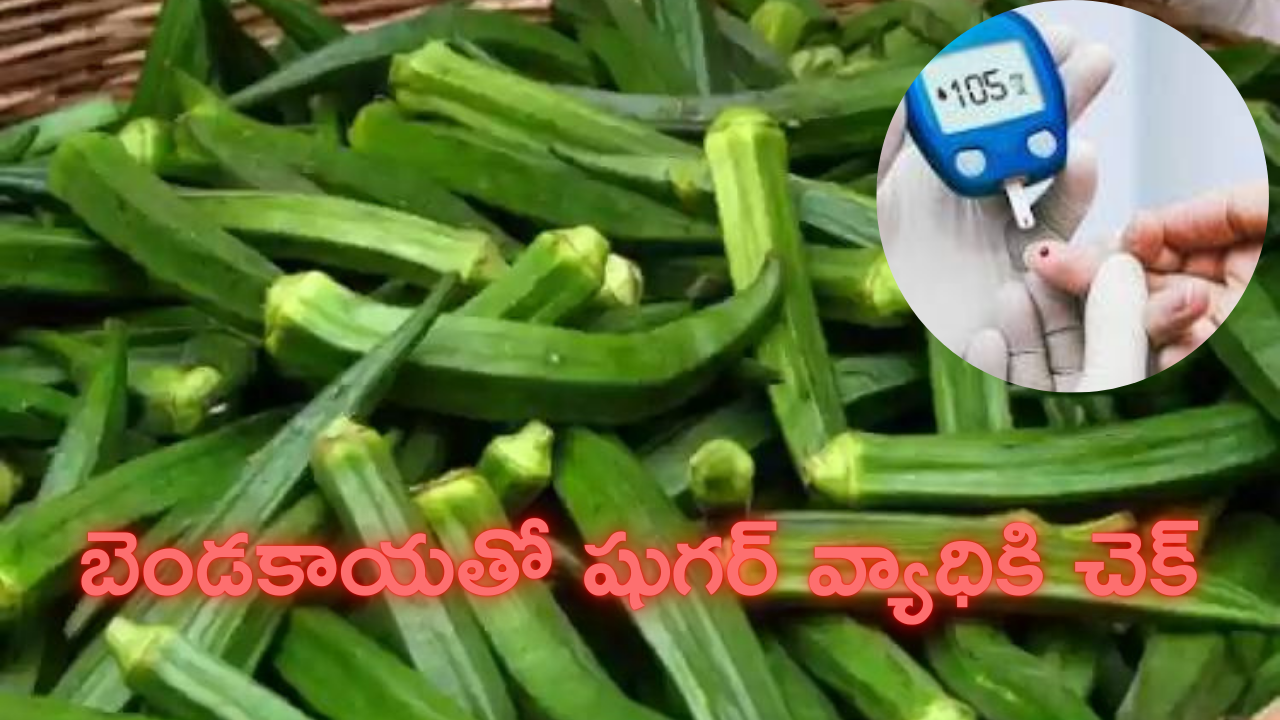 AP Govt: ఏపీ సర్కార్ కీలక నిర్ణయం.. వారికి అధికారికంగా అంత్యక్రియలు