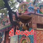 Guntur: కాపాడు తల్లీ.. మహా వృక్షమమ్మా! వేప చెట్టుకు అద్భుత దేవాలయం