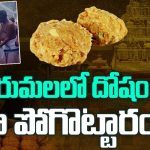 Tirupati Laddu Sanctity Restored: తిరుమలలో దోషం ఎలా పోగొట్టారంటే..