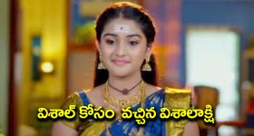 Trinayani Serial Today Episode: విశాల్‌ కోసం వచ్చిన విశాలాక్షి – భుజంగమణి కోసం సుమన ప్లాన్‌