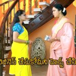 Seethe Ramudi Katnam Serial: మహాను దొంగని చేసిన అర్చన.. సీతకు సాయం చేసిన విద్యాదేవి.. ట్విస్ట్ ఇచ్చిన రామ్
