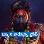 Stylish Star Plexi Viral: వైసీపీ వాడకం వేరయా.. స్టైలిష్ స్టార్ ని ఇలా వాడేస్తున్నారేంటి.. ప్లెక్సీ వైరల్