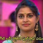 Bigg Boss 8 Telugu: YS అంటే అర్థం అదేనా? సోనియా గుట్టు బయటపెట్టేసిన నాగ్.. బ్రేకప్ స్టోరీ చెప్పిన సీత
