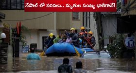 Nara Bhuvaneshwari: ప్లీజ్ ఈ ఒక్క మాట వినండి.. ప్రజలను కోరిన సీఎం సతీమణి