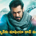 Salman Khan: సల్మాన్‌కు మాఫియా డాన్ దావూద్ మద్దతు? వాళ్లను జైల్లోనే లేపేయడానికి ప్లాన్.. మూవీస్‌ను మించి స్కెచ్!