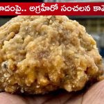 Tirumala Laddu: టెర్రరిస్ట్ లు కూడా ఈ పని చేయరు.. లడ్డు వివాదంపై అగ్ర హీరో సంచలన కామెంట్స్
