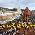 Tirumala: దసరాకు తిరుమల వెళ్తున్నారా.. దర్శనం టికెట్ లేకున్నా.. ఇలా చేస్తే శ్రీవారిని దర్శించవచ్చు