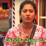 Bigg Boss 8 Telugu: సోనియా, నిఖిల్ మాత్రమే కాదు.. బిగ్ బాస్ హౌజ్‌లో మరో ప్రేమకథ? షో తర్వాత ఆ ఇద్దరు హాలిడేకు ప్లాన్
