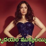 Tamannaah: అలాంటి వ్యక్తితో రిలేషన్ కరెక్ట్ కాదనిపించింది, అప్పుడే నా హృదయం ముక్కలయ్యింది – తమన్నా