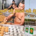 Tirupati Laddu: తిరుమలలో నిత్యం 3 లక్షల లడ్డూలు విక్రయం.. 500 కోట్లు వార్షిక ఆదాయం.. కల్తీ నెయ్యి వివాదం తరువాత..