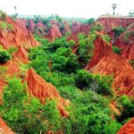 Bhimili red sand hills: భీమిలి ఎర్రమట్టి దిబ్బలు, పనులు ఆపాలంటూ హైకోర్టు ఆదేశం