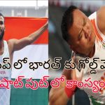 Paralympics Hokato Hotozhe: పారాలింపిక్స్ లో భారత్ పతకాల సంఖ్య 27!.. హై జంప్ లో గోల్డ్, షాట్ పుట్ లో కాంస్యం!