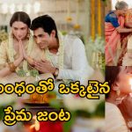 Aditi Rao Hydari-Siddharth Wedding: పెళ్లి బంధంతో ఒకటైన సిద్ధార్థ్, అదితిరావు హైదరీ.. ఫొటోలు వైరల్