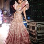 Amyra Dastur: ప్రిన్సెస్‌లా ముస్తాబైన అమైరా దస్తూర్.. అందాల విందు