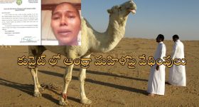 Hydra: హైడ్రా రద్దు చేయాలని పిటిషన్.. ప్రభుత్వానికి హైకోర్టు కీలక ఆదేశాలు