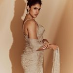 Faria Abdullah: ‘మత్తు వదలరా 2’ సెలబ్రేషన్స్‌లో ఫరియా బిజీ.. చీరకట్టుతో మత్తు ఎక్కిస్తోందిగా!
